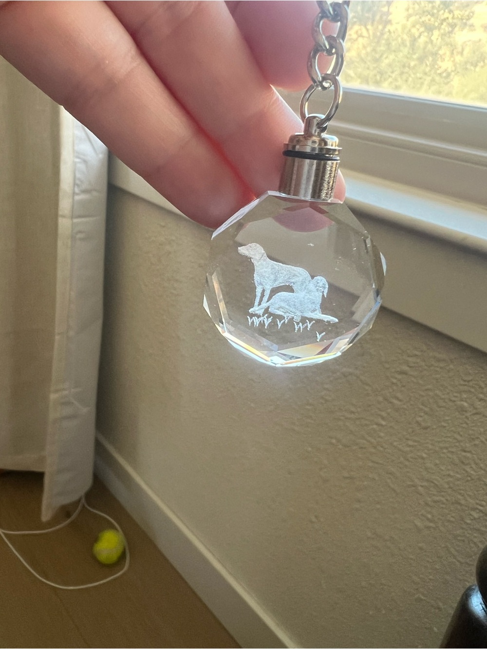 LED Light-Up Crystal Dog Keychain – Engraved – Untested – Box Included - Picture 3 of 6